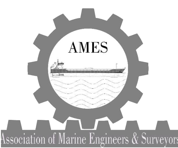 Association of Marine Engineers and Surveyors class=